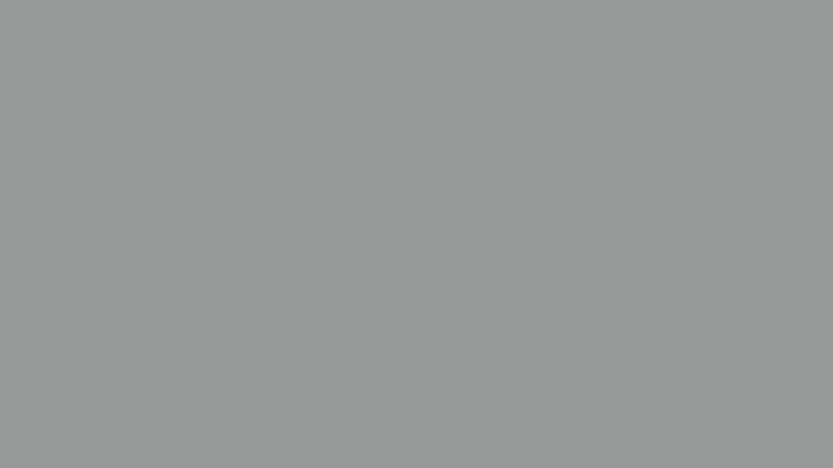 Fini Gris Ardoise ZW012